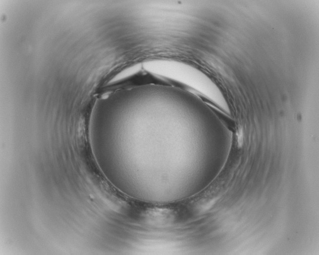 X0000088870748200706221749