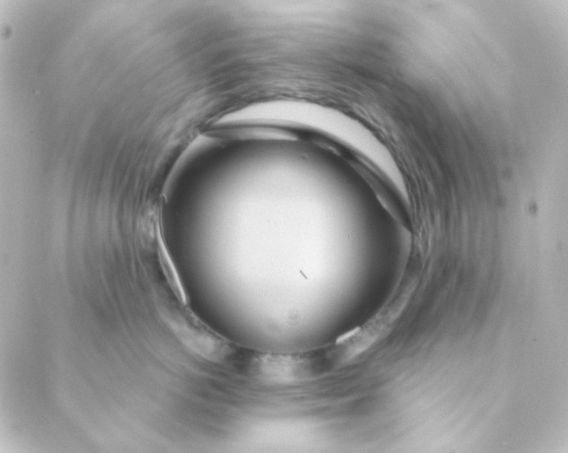 X0000088870766200706221749