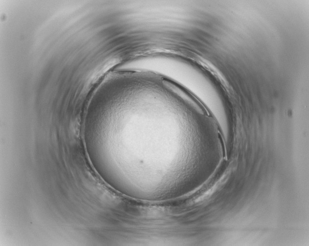 X0000088870785200706221748