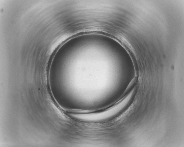 X0000088870789200706221748