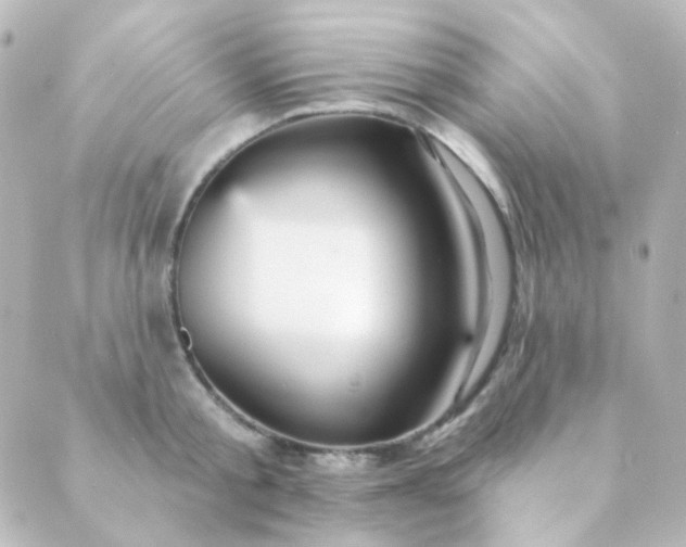 X0000088870805200706221748