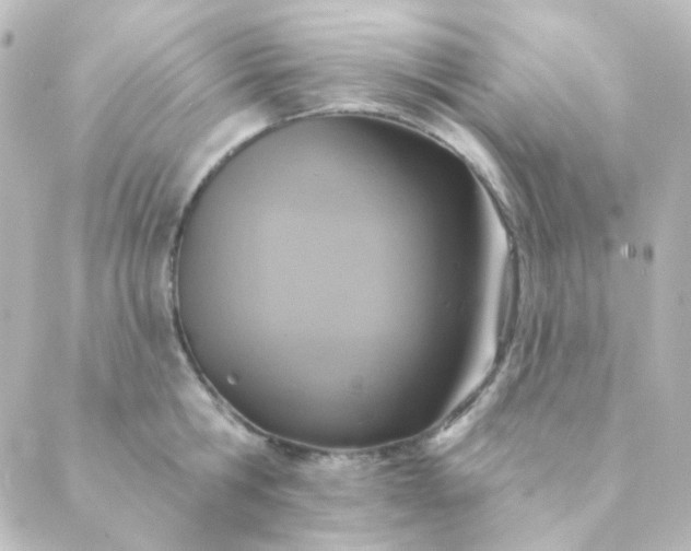 X0000088870806200706221748