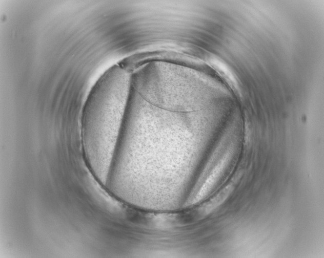 X0000088870808200706221748