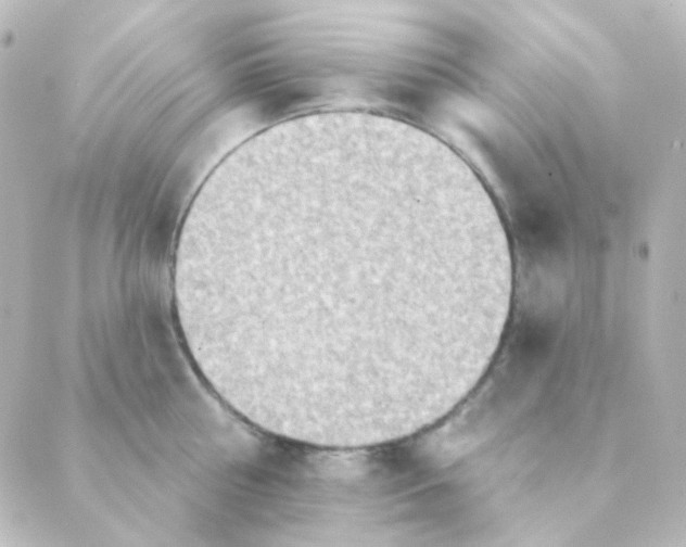 X0000088870810200706221748