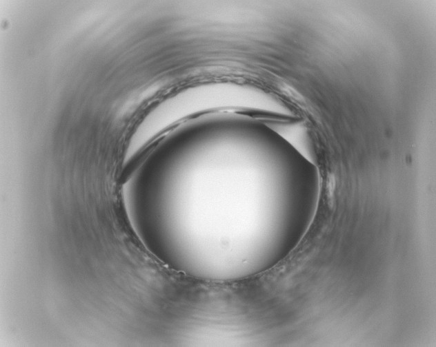 X0000088870822200706221747