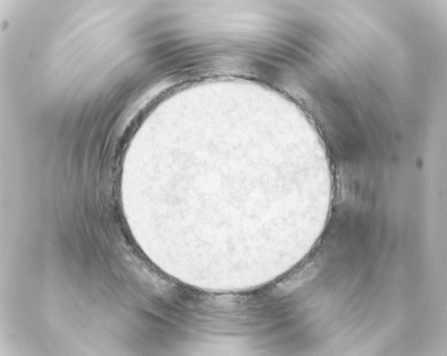 X0000088870828200706221747