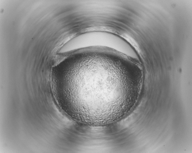 X0000088870849200706221748