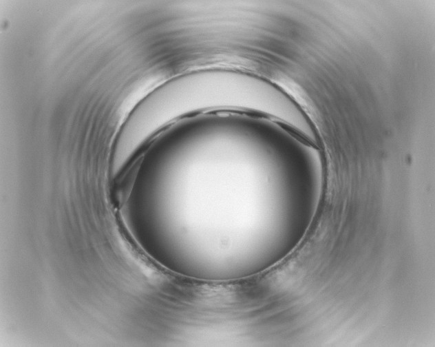 X0000088870850200706221748