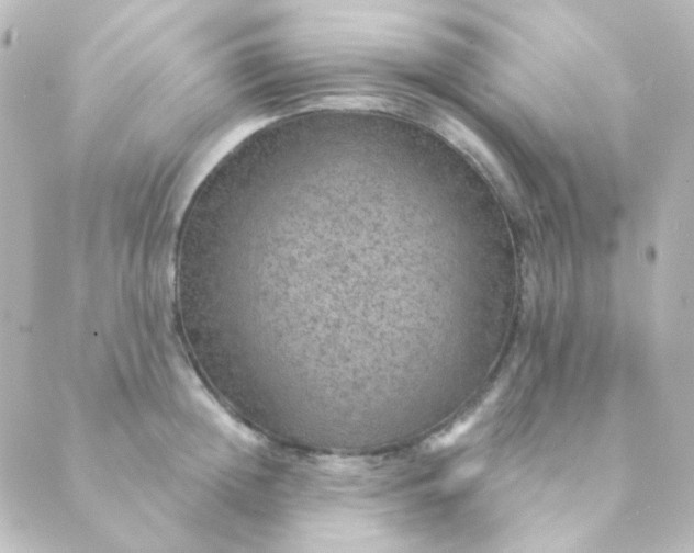 X0000088870852200706221748