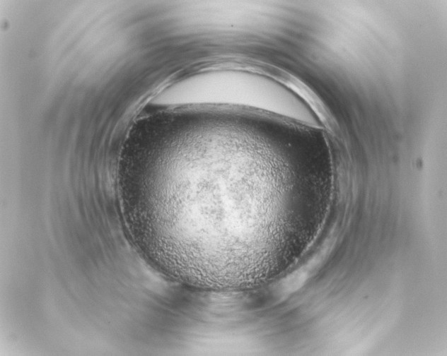 X0000088870857200706221748