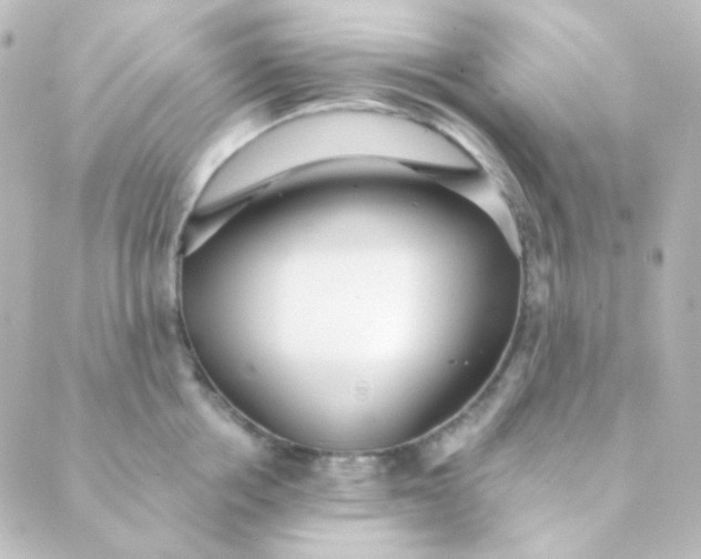 X0000088870858200706221748