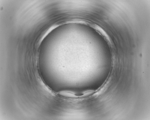 X0000088870860200706221748