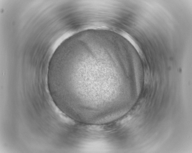 X0000088870861200706221748