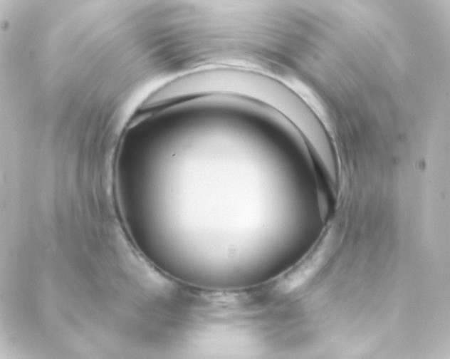 X0000088870862200706221748