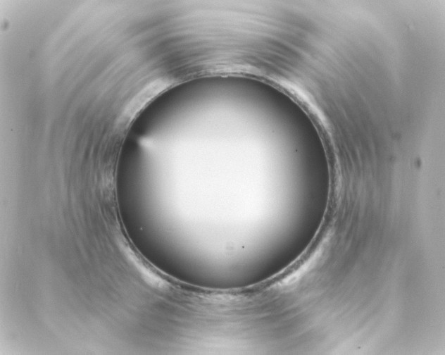 X0000088870897200706221747