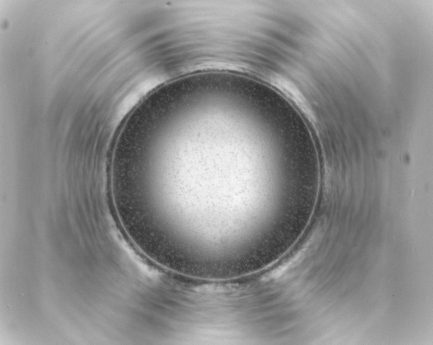 X0000088870898200706221747