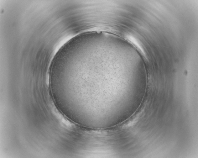 X0000088870900200706221747