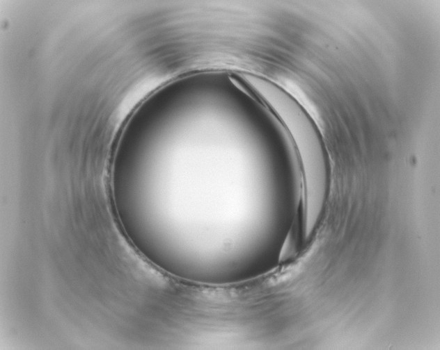 X0000088870901200706221747