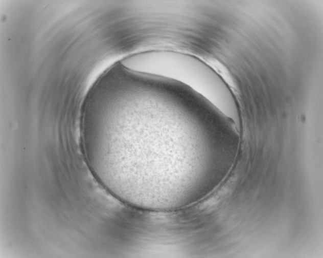 X0000088870904200706221747