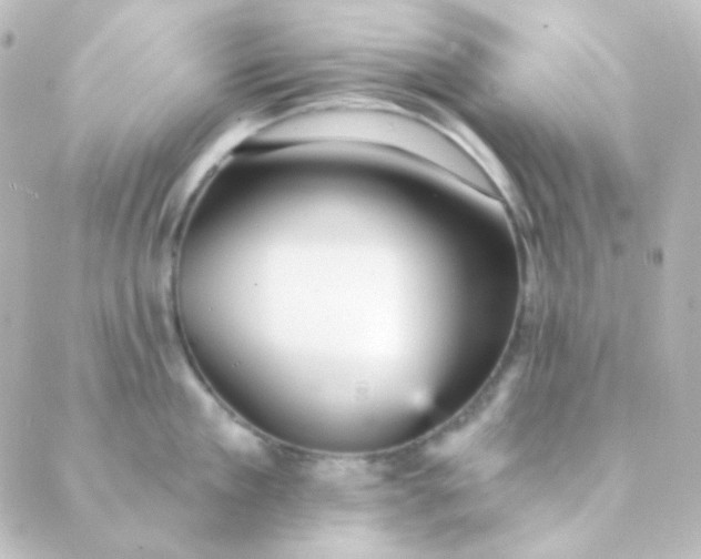 X0000088870909200706221746