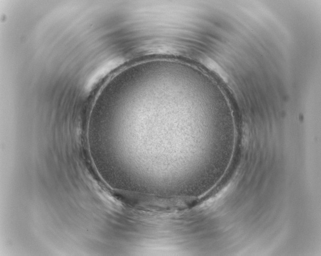 X0000088870922200706221746
