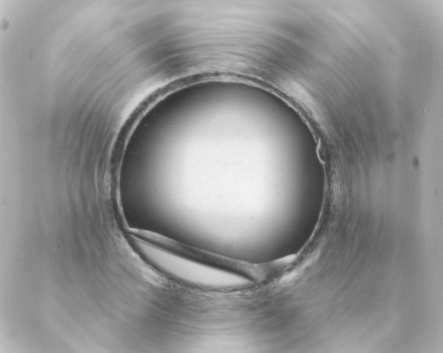 X0000088870924200706221746