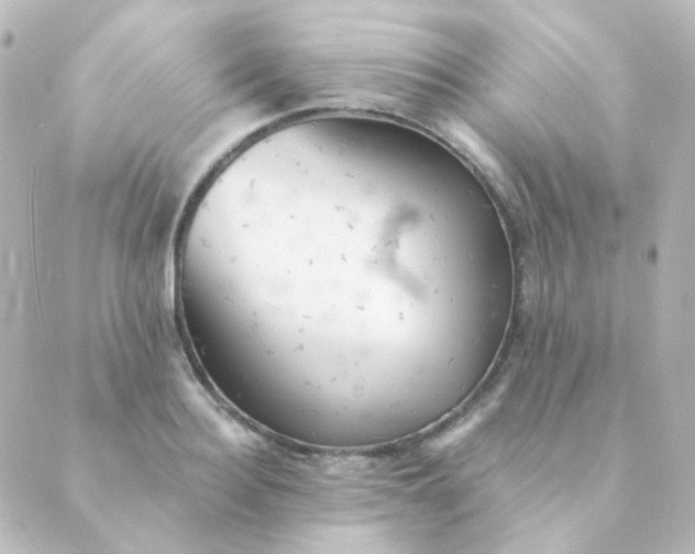X0000088870940200706221746