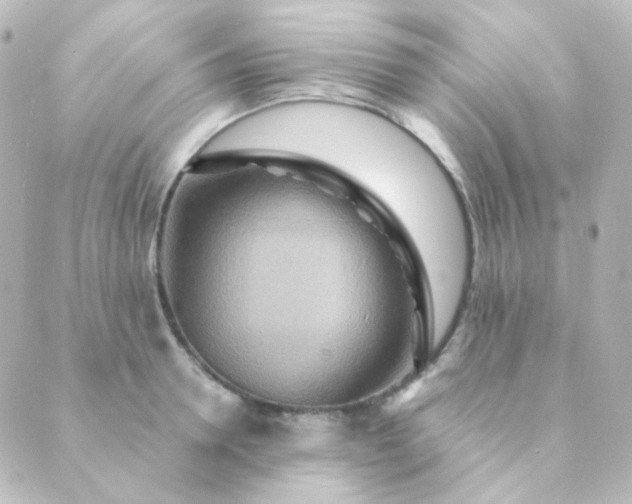 X0000088870946200706221746