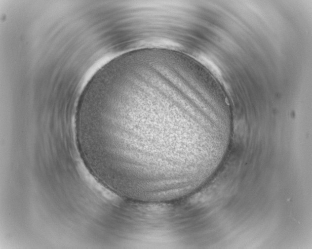 X0000088870947200706221746