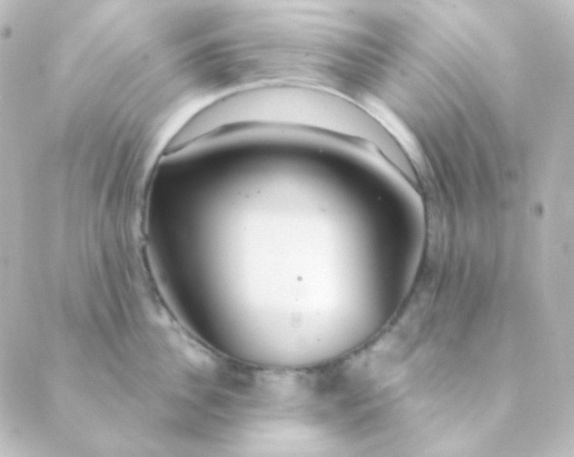 X0000088870956200706221746