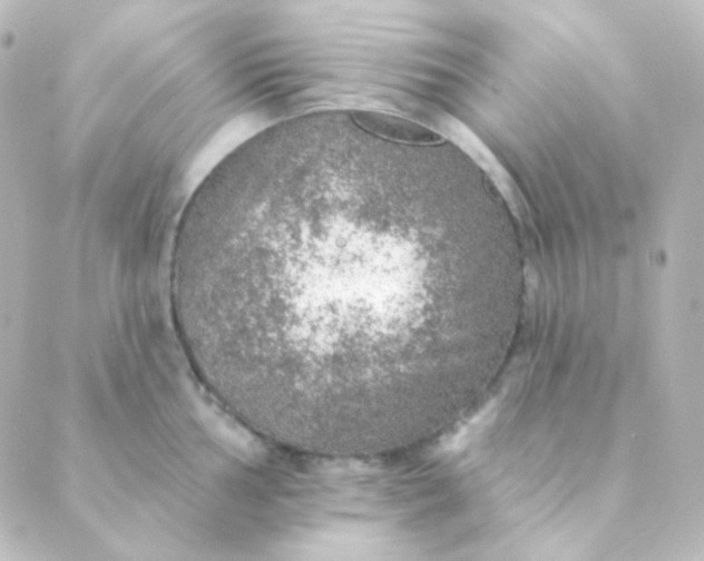 X0000088871002200706221745
