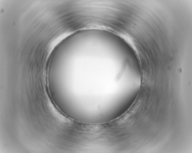 X0000088871003200706221745