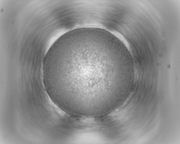 X0000088871006200706221745