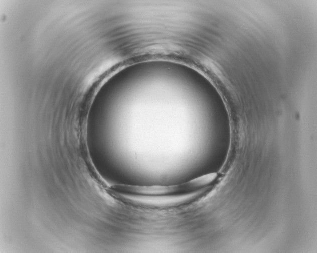 X0000088871018200706221744