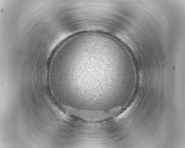X0000088871021200706221744