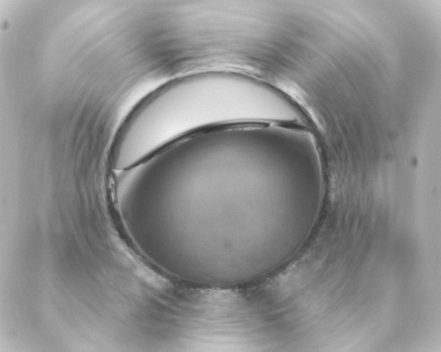 X0000088871024200706221744