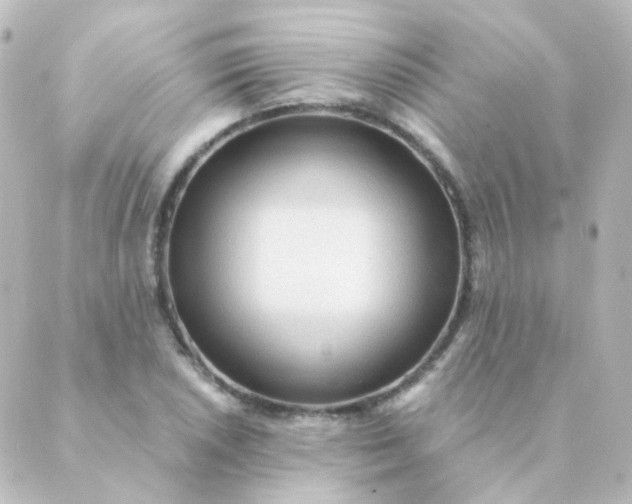 X0000088871026200706221744