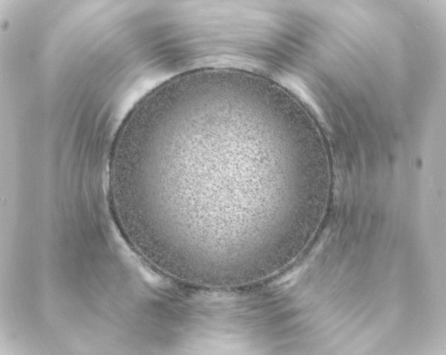 X0000088871040200706221745