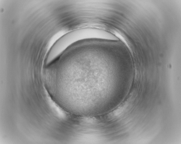 X0000088871050200706221745