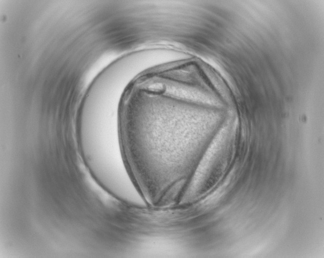 X0000088871054200706221745