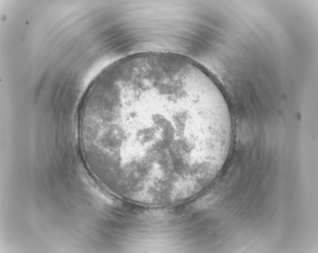 X0000088871078200706221744