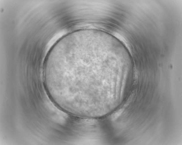 X0000088871090200706221744