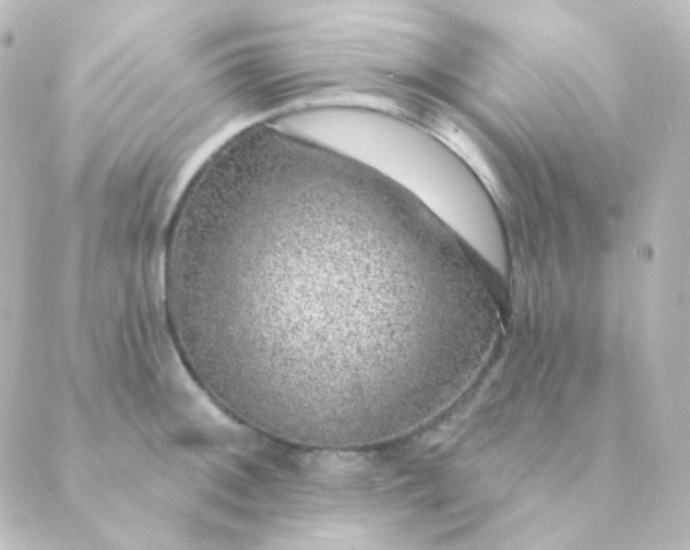 X0000088871092200706221744
