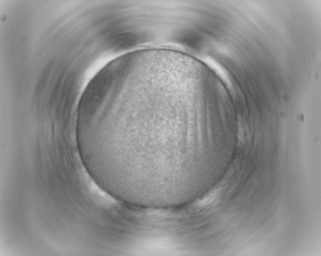 X0000088871102200706221743