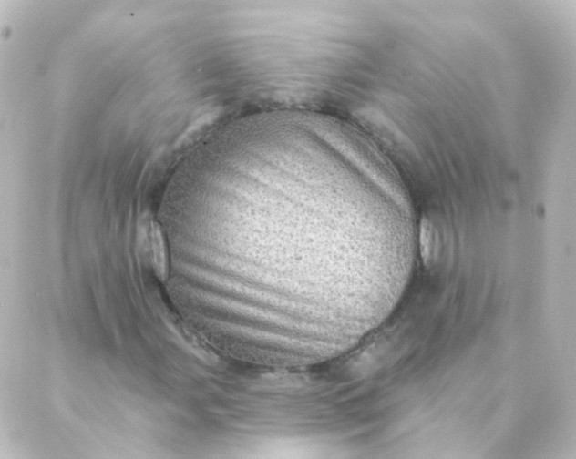 X0000088871107200706221743