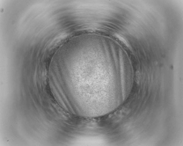 X0000088871111200706221743