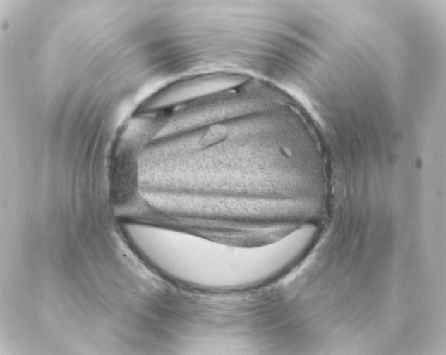 X0000088871118200706221743