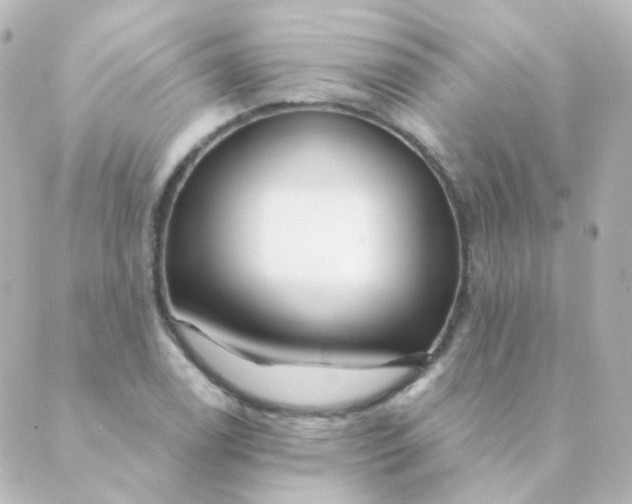 X0000088871122200706221743
