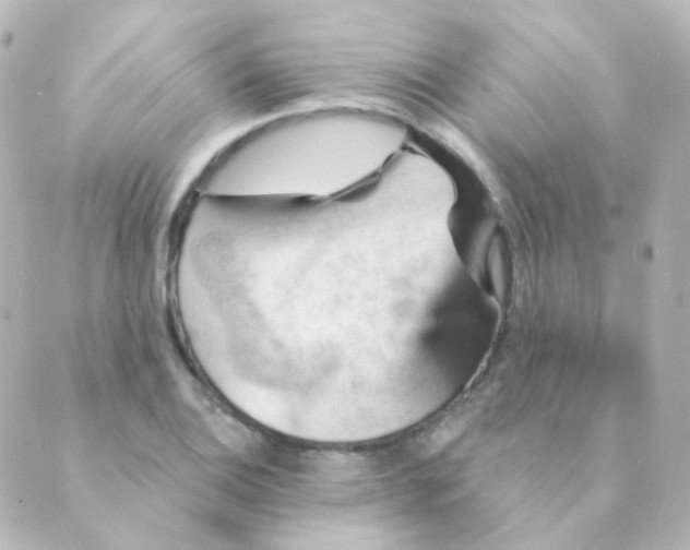 X0000088871124200706221743