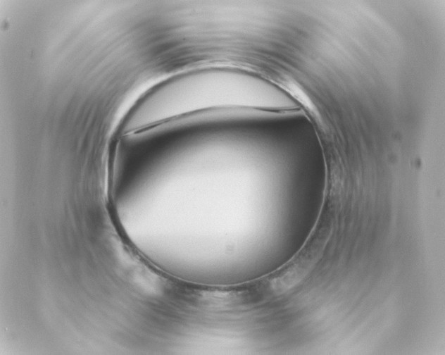X0000088871132200706221743